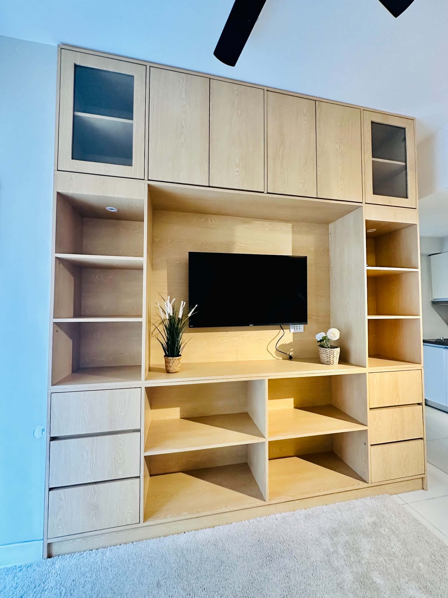 117c unit tv